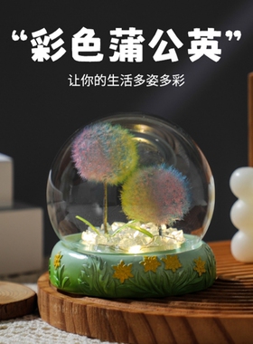 微景观真蒲公英干花永生植物标本