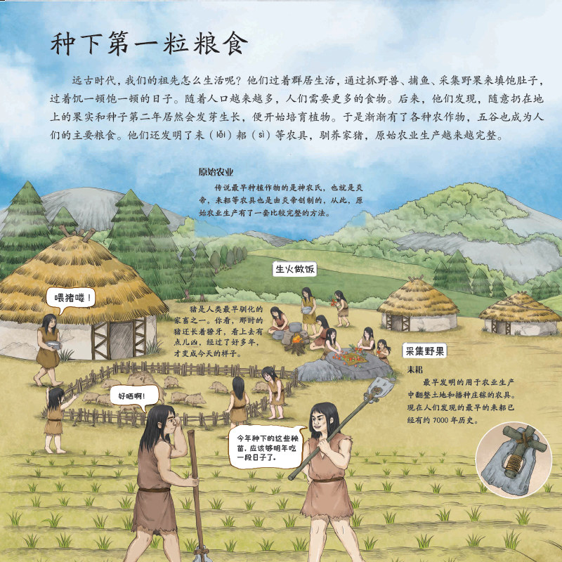 时间里的中国全4册 精装儿童绘本从衣食住行到房屋建造 中华五千年文明历史文化起源变迁古人生活智慧古今服饰演化出行工具交通