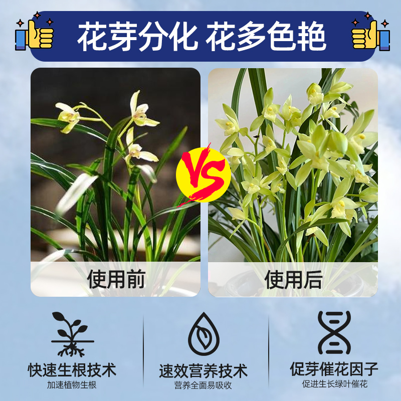 兰灵王兰花肥料专用肥营养液兰科杀菌蝴蝶兰君子兰菌群促花活化剂 - 图0