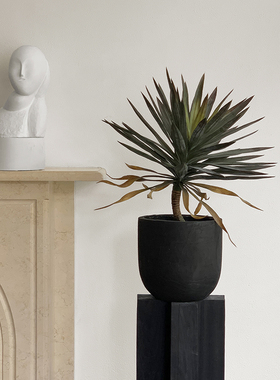 极速侘寂实木g墩子雕塑摆台底座家居装饰花架碳化原Q木树桩摆件客