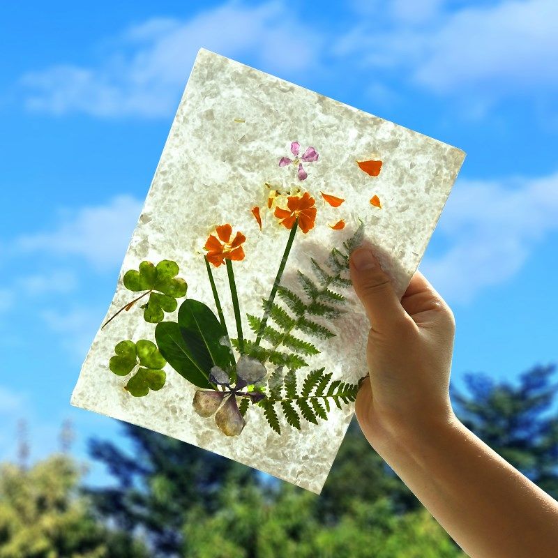 极速古法造纸术套装材料包儿w童diy手工制作亲子幼儿园非遗传统文,淘宝优惠券,粉丝福利购,淘宝优惠卷