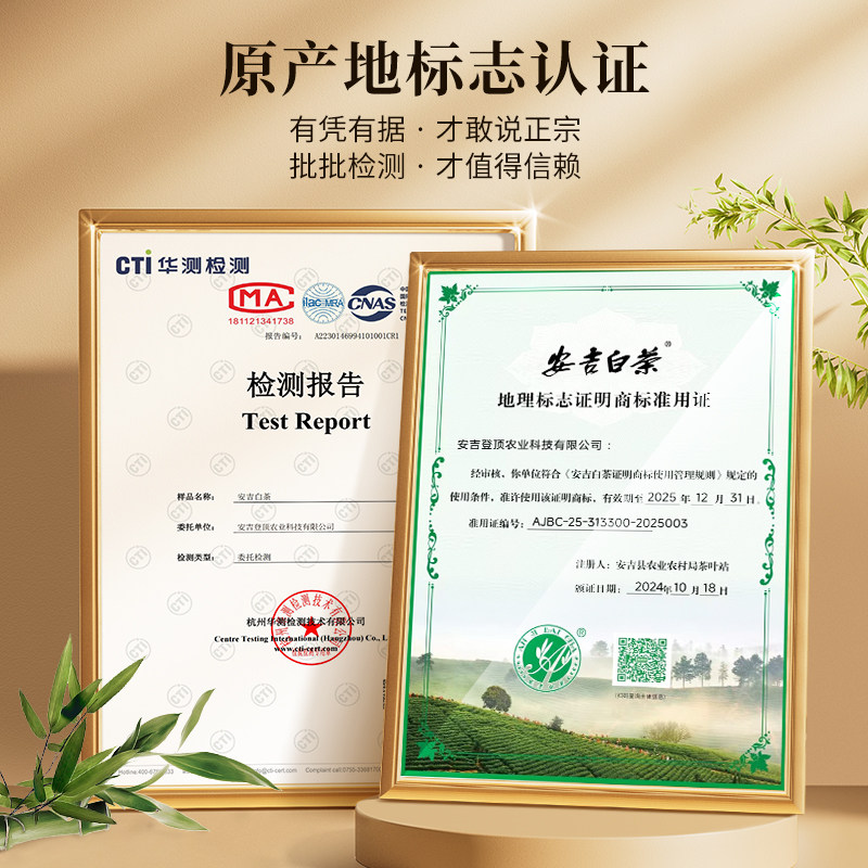 安吉白茶2025新茶明前绿茶嫩芽高山茶叶官方旗舰店正品250g自己喝,淘宝优惠券,粉丝福利购,淘宝优惠卷