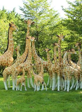 仿真动物长颈鹿雕塑园林景观小品摆设玻璃钢模型大型摆件室外装饰