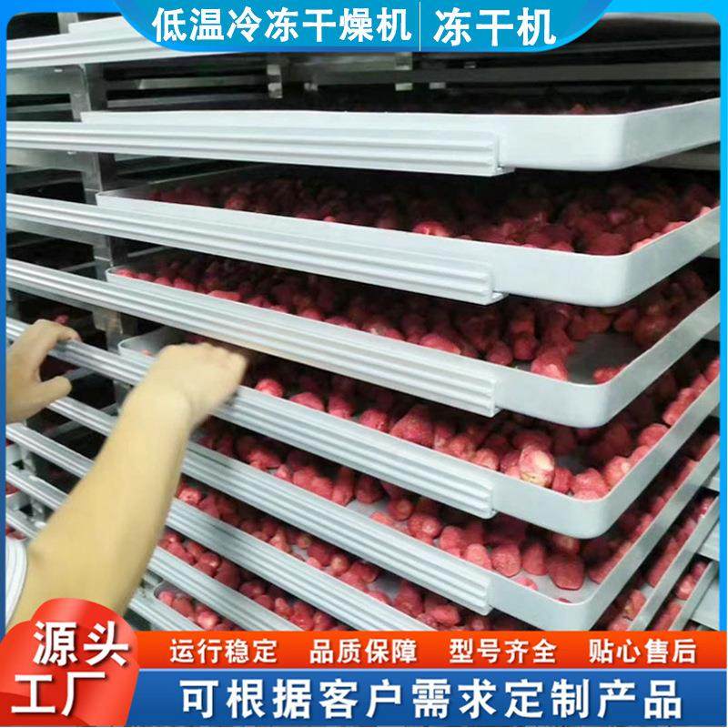 山楂冻干设备 果蔬脆冻干机生产线 商用海鲜真空冷冻干燥机,淘宝优惠券,粉丝福利购,淘宝优惠卷