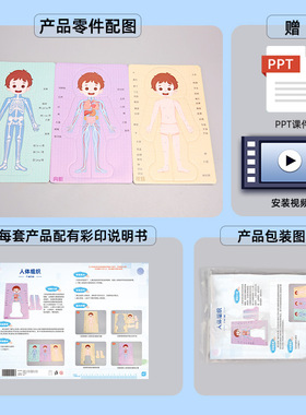 DIY人体器官消化系统拼图KT内脏拼图模型科学实验材料科技小制作
