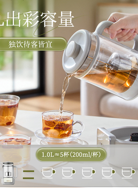 荣事达煮茶器办公室小型蒸泡黑茶