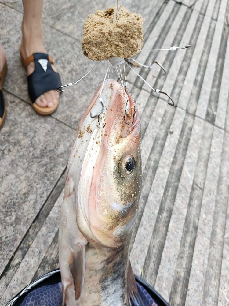 飞钩尼海竿溪流方块盘钩鲢鳙翻板钩硬线翻版钩伊势专用钩新型爆炸 - 图2