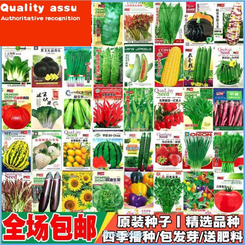 新品Four Seasons Pot Planting of Various Vegetable Seeds - 图0