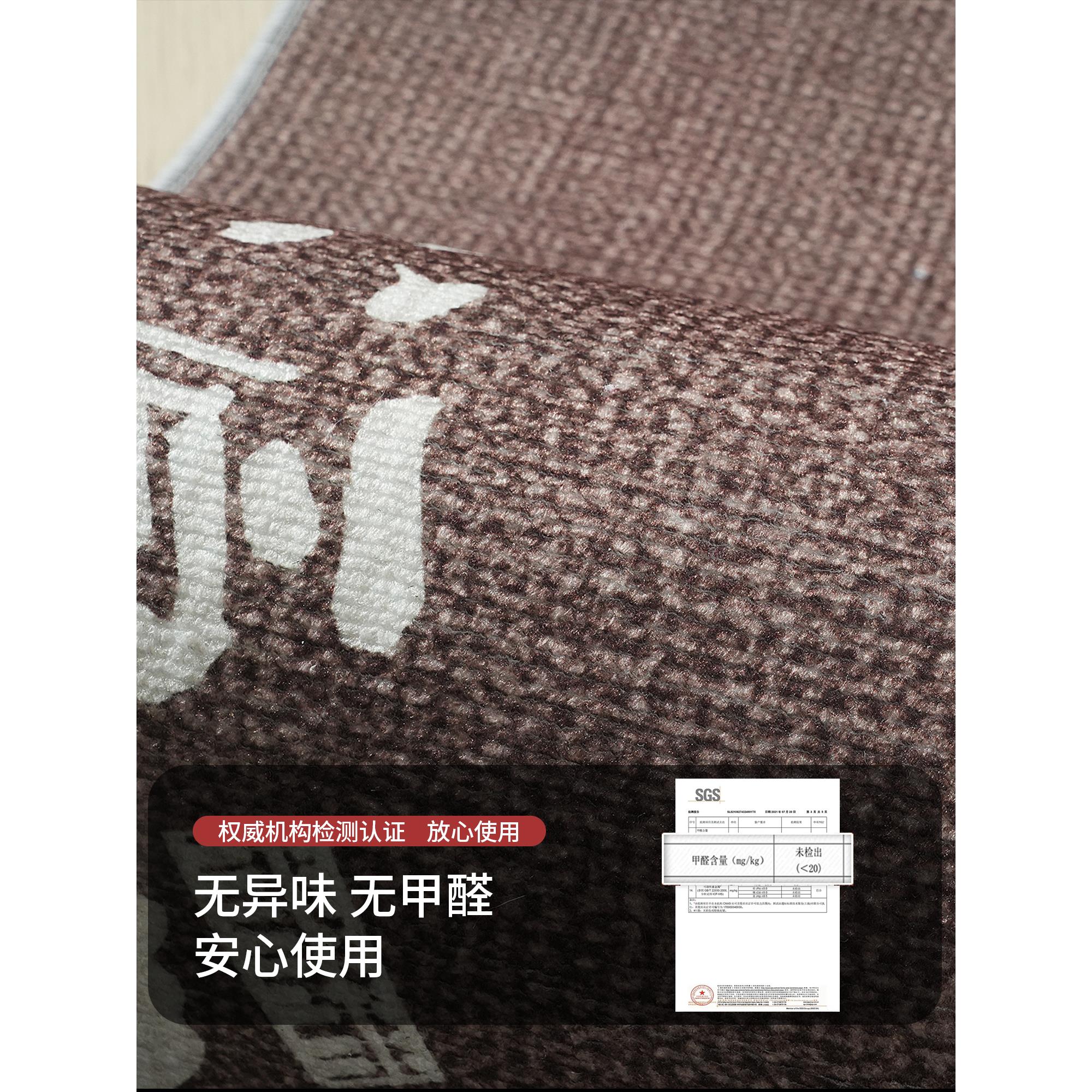 入户门地垫2025新款商用进门大门口耐脏防滑地毯欢迎光临酒店脚垫 - 图3