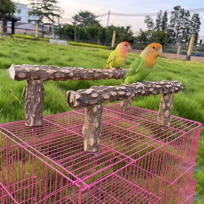 鸟架站架树枝训鸟花椒木站棍鸟笼顶架子灰鹦鹉站架虎皮牡丹鸟架磨-图0