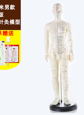 中医针灸穴位图人体模型50cm男女全身十二经络小皮人针灸穴位模型