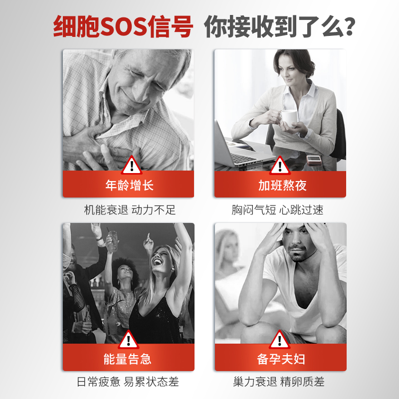 【自营】Phatma水乳双溶还原型辅酶Q10新西兰泛醇高吸收护心脑 - 图0