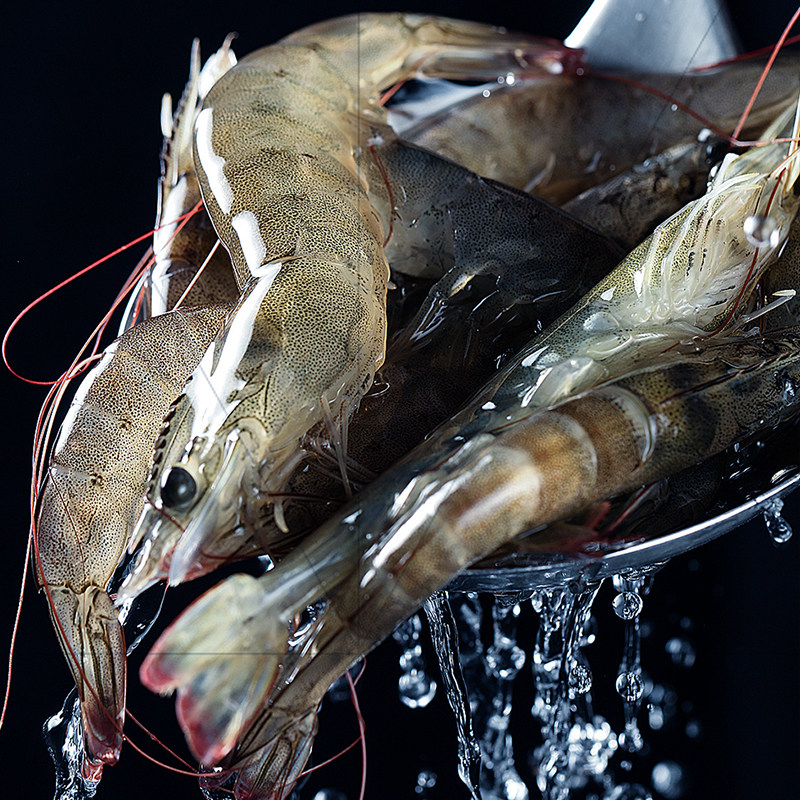 【肥猫鲜森】新鲜95%含量虾滑 抖音同款新鲜手打火锅半成品食材,淘宝优惠券,粉丝福利购,淘宝优惠卷