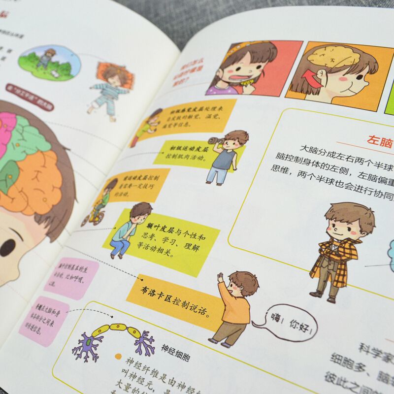 我们的身体精装硬壳 洋洋兔官方正版 3-6岁幼儿园宝宝早教认知绘本 画给孩子的人体探秘之旅 一二三年级小学生课外阅读书籍推荐yyt - 图0