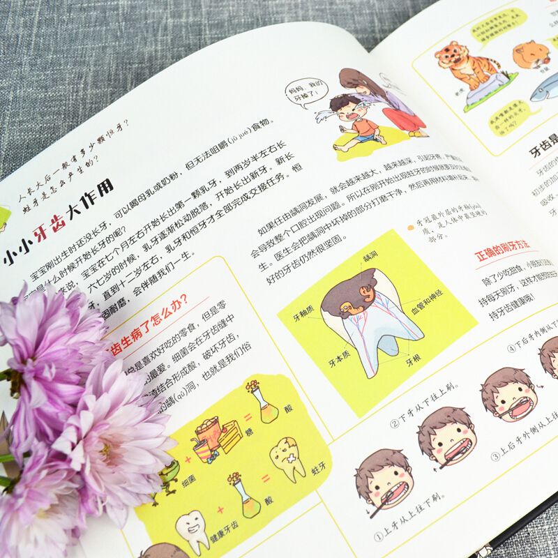 我们的身体精装硬壳 洋洋兔官方正版 3-6岁幼儿园宝宝早教认知绘本 画给孩子的人体探秘之旅 一二三年级小学生课外阅读书籍推荐yyt - 图2