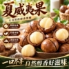 夏威夷果500g袋装（22-24的大果）