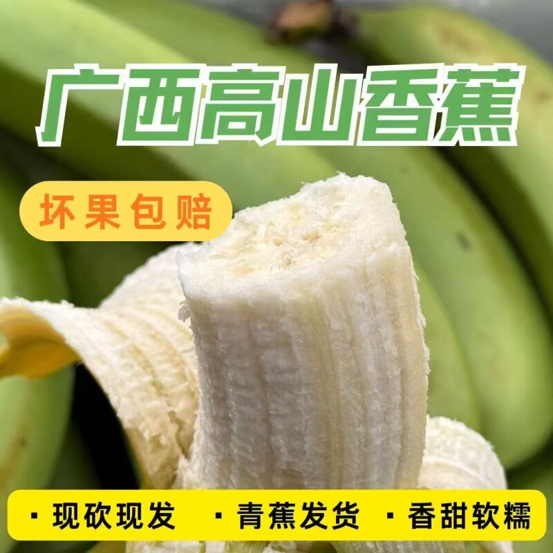【净重5斤】广西高山青皮香蕉现摘现发整箱