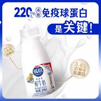 光明优倍低温巴氏杀菌鲜牛奶185ml*12瓶