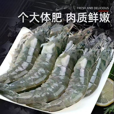 【顺丰特快】新鲜海捕鲜活速冻