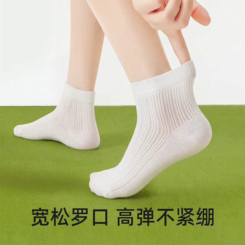 女士夏薄纯棉网眼抗菌中筒袜3双