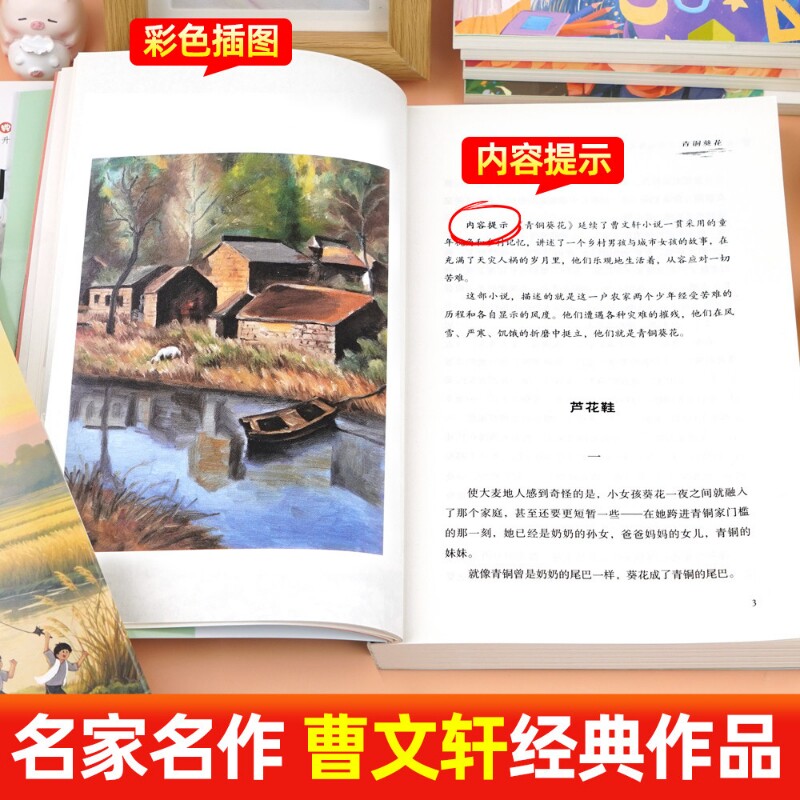 图 4