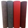 Carpet floor mats, door mats, cuttable, water-absorbent, non-slip entrance mats, large-area carpets, corridors, aisles, home strips