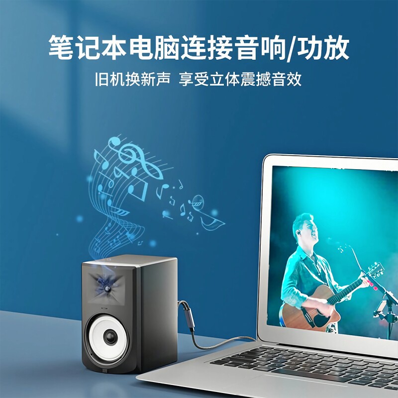 Typec to double lotus audio cable one-to-two RCA plug computer mobile phone adapter audio amplifier lotus head