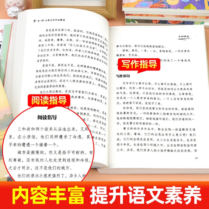 图 5