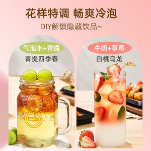 立顿白桃乌龙茶蜜桃茉莉花茶绿茶凤梨冷萃柠檬片水果茶冷泡茶包