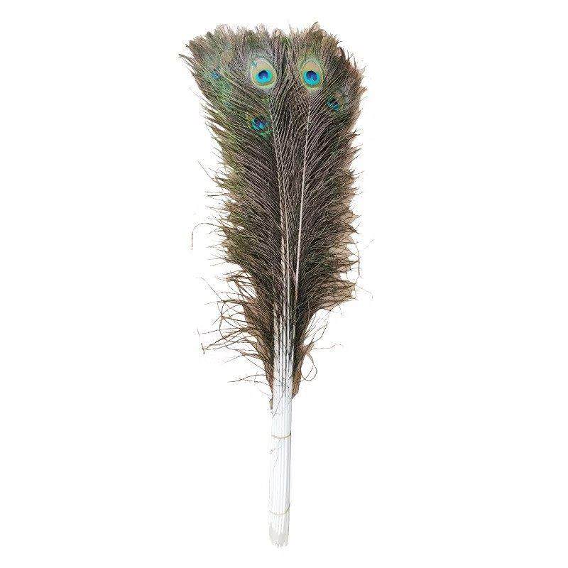 进口天然真孔雀羽毛708090CM大眼睛装饰花瓶吉祥孔雀尾孔雀羽摆件,淘宝优惠券,粉丝福利购,淘宝优惠卷