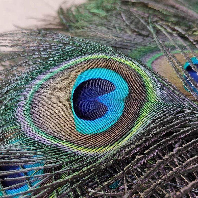 进口天然真孔雀羽毛708090CM大眼睛装饰花瓶吉祥孔雀尾孔雀羽摆件,淘宝优惠券,粉丝福利购,淘宝优惠卷
