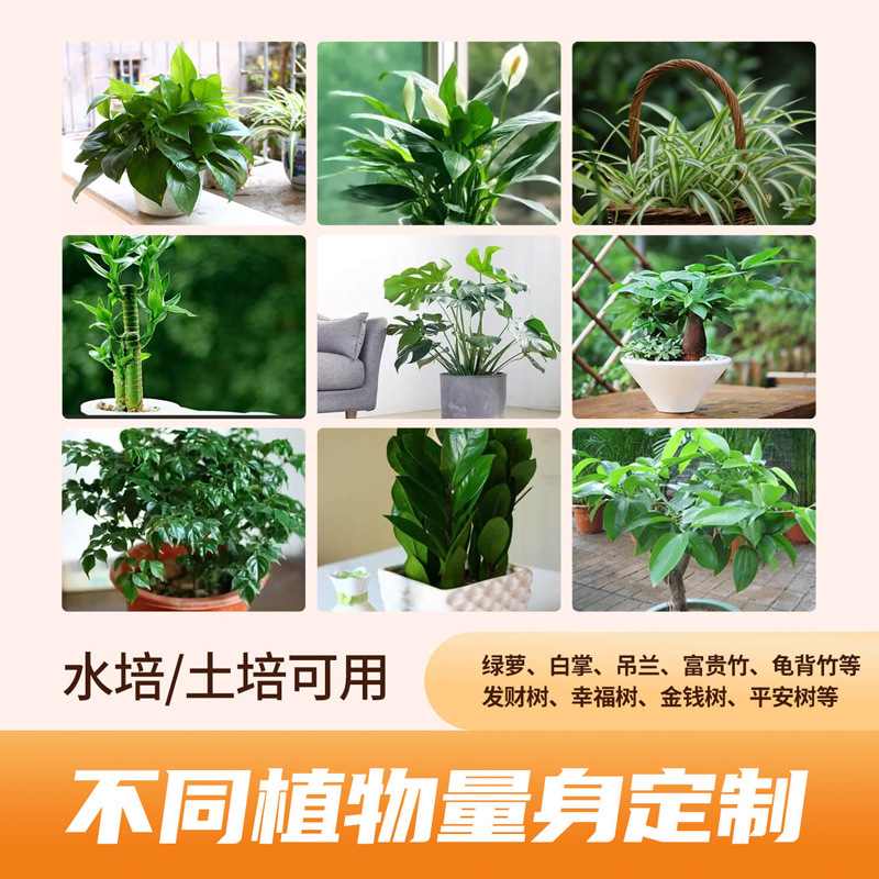 尚雯艺筑营养液植物通用型绿萝富贵竹发财树花卉绿植盆栽官营店SD - 图0