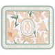 Thickened anti-slip diatom mud placemat drain pad