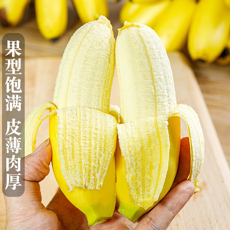 现摘广西小米蕉当季新鲜水果10斤整箱自然熟banana苹果蕉香蕉粉蕉-图0