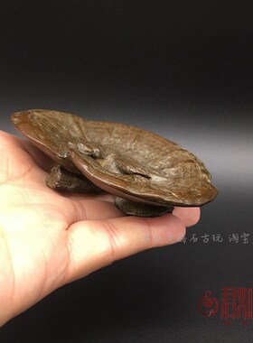 新品小铜件实心铜灵芝茶盘摆件仿真长寿寓意小灵芝把W件蘑菇工艺