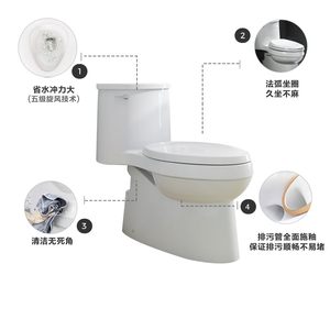 科勒马桶坐便器虹吸式家用抽水马桶艾黛儿五级旋风座便器5171T