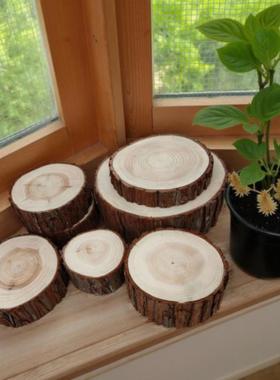 圆形木头盲盒底座桌面小摆件杉树拍照道具实木装饰木桩树桩树根