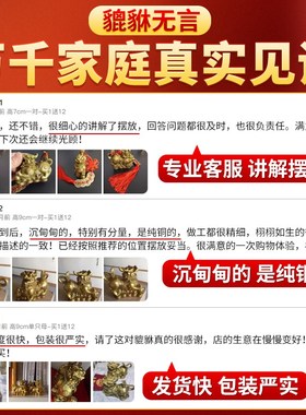 貔貅招财摆件客厅聚旺纯铜公母一对皮丘家用O店铺貔犰送礼送人开