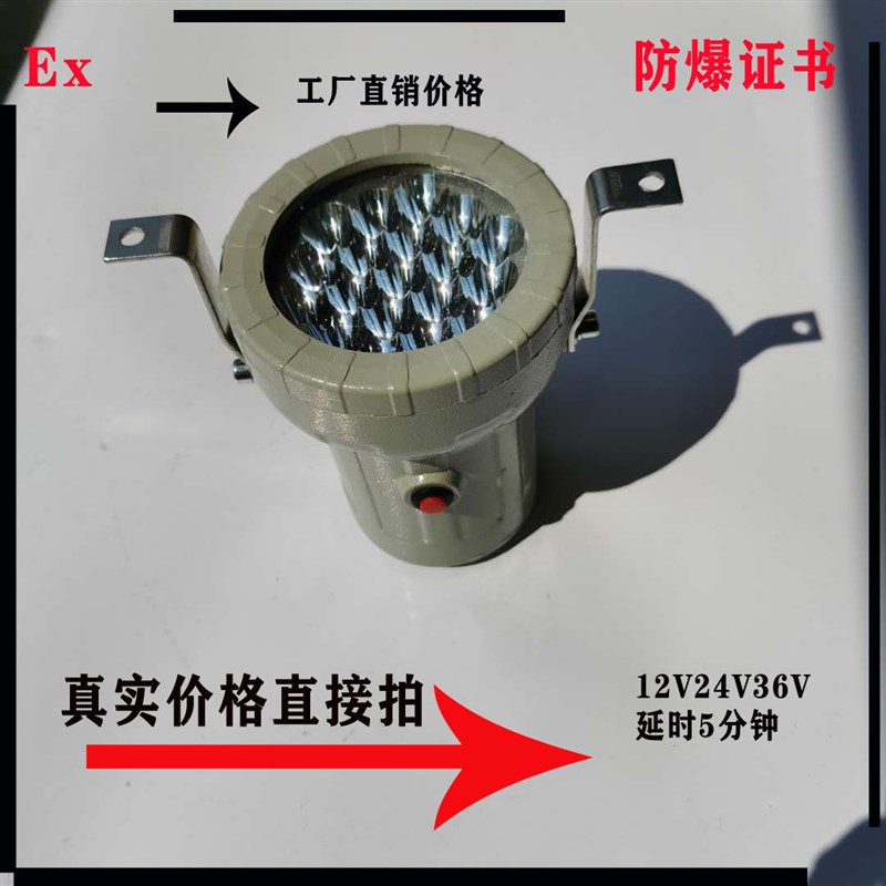 速发LED防爆视孔灯暖黄光5W视镜灯AC/DC2436V反应釜照明灯10W20W