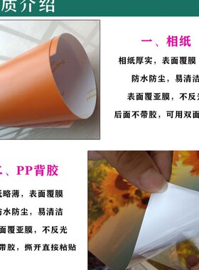 极速狼狗牧羊犬照片海p报德国黑背猛犬大型犬类装饰画墙贴画自粘