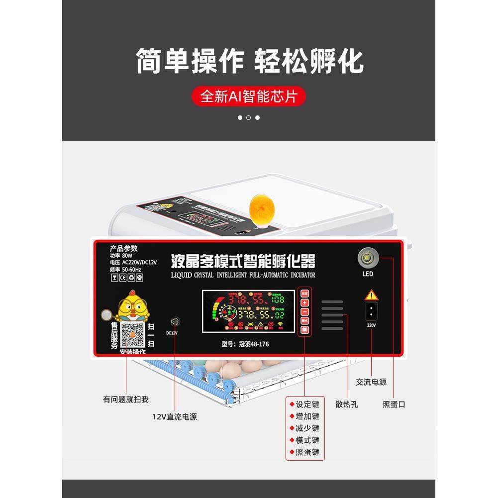 孵化温控器观察鸡苗小型家用鸟类机全自动小鸡儿童芦丁,淘宝优惠券,粉丝福利购,淘宝优惠卷