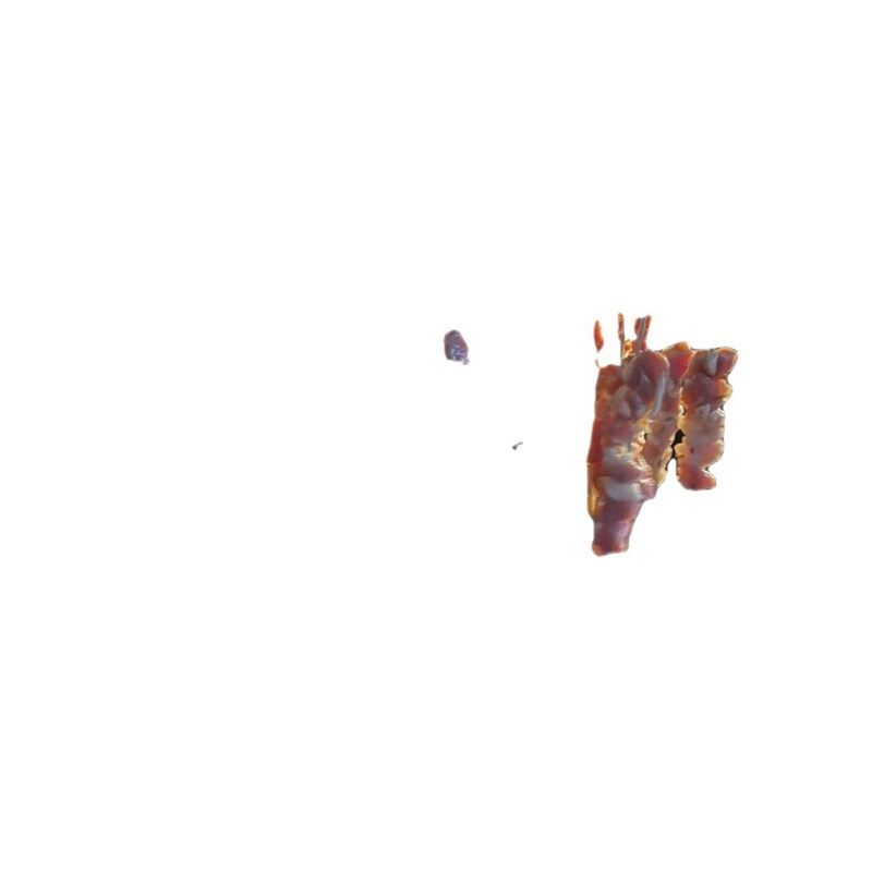 极速烤箱吊烤签专用钢签烤鸭炉挂钩签子304不锈钢V带圆带勾圆环烧,淘宝优惠券,粉丝福利购,淘宝优惠卷