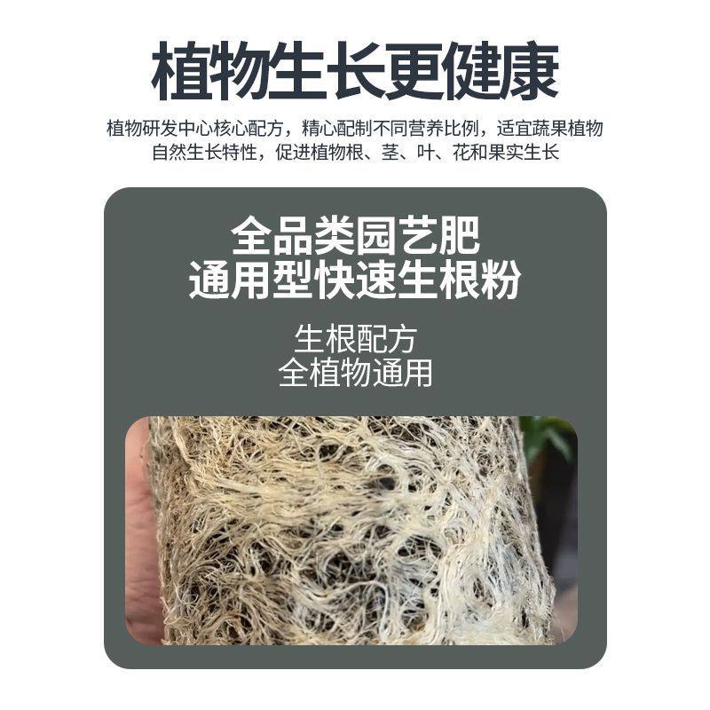 快速生根粉快速生根剂快速生根液生根壮苗植物扦插移栽通用发根剂,淘宝优惠券,粉丝福利购,淘宝优惠卷