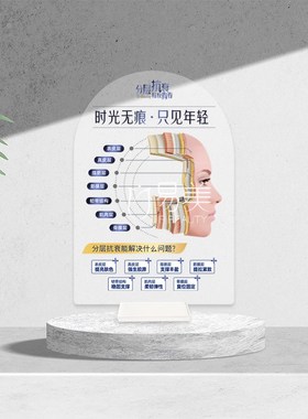 分层抗衰肌肤展示亚克力医美x整容咨询桌面摆件医患沟通简体繁体