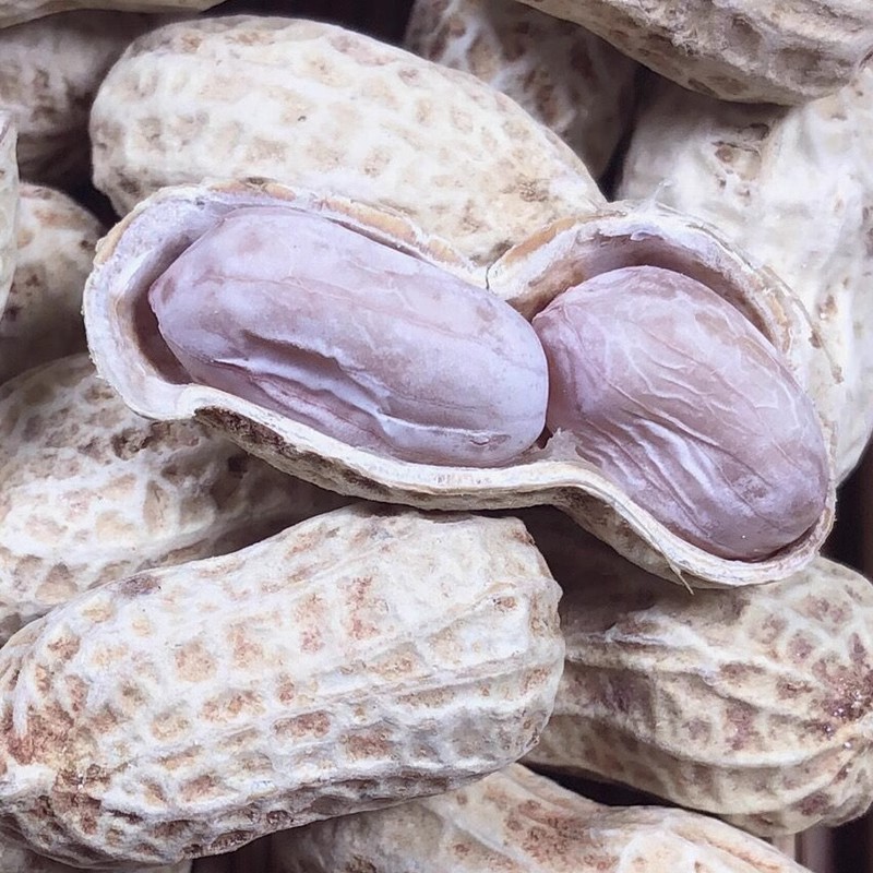 New Longyan specialty boiled, sun-dried and salted peanuts
