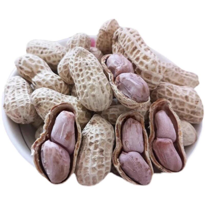 New Longyan specialty boiled, sun-dried and salted peanuts