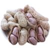 New Longyan specialty boiled, sun-dried and salted peanuts