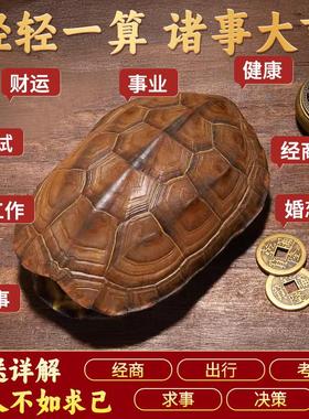 天然真乌龟壳龟甲文玩六爻摇卦工具周易64卦牌铜钱把玩件摆件动物
