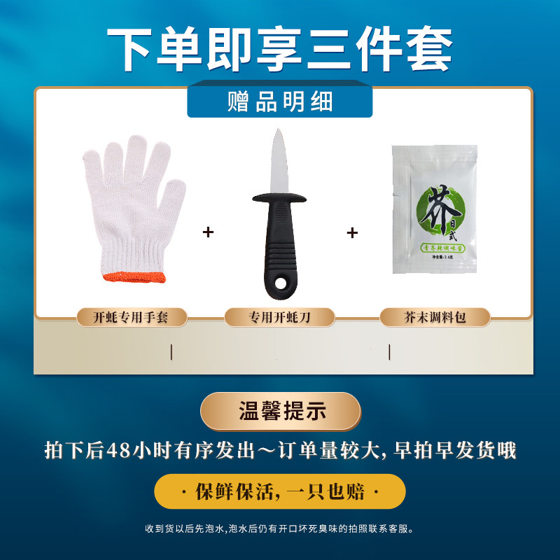 【林依轮直播间】生蚝鲜活5XL整箱顺丰新鲜特大牡蛎,淘宝优惠券,粉丝福利购,淘宝优惠卷