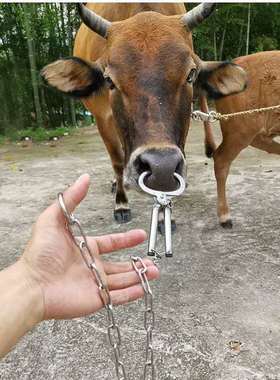 其他牛鼻环牛鼻圈大号戒指/指环